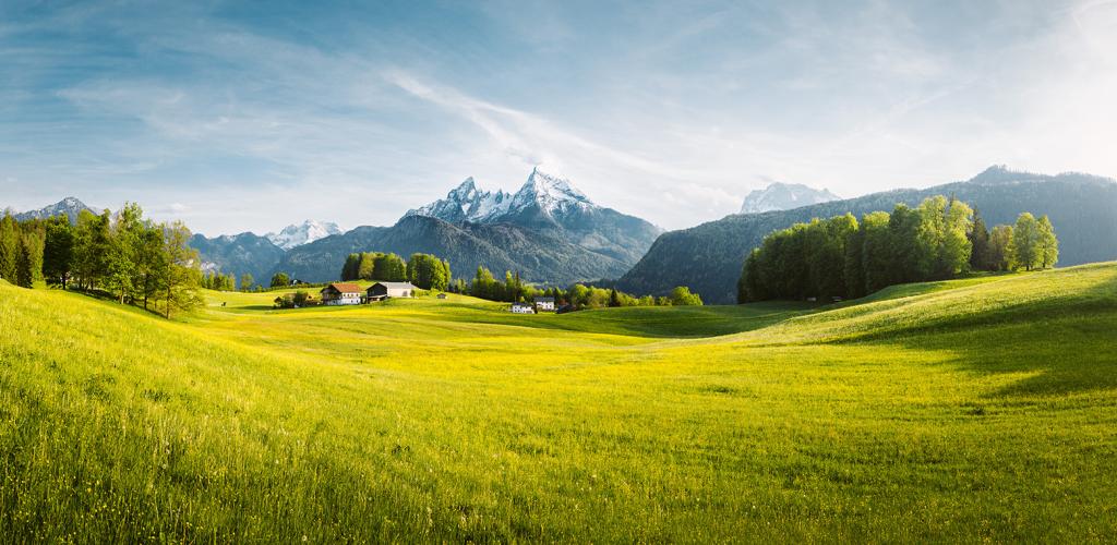 Meet the Team Appomattox